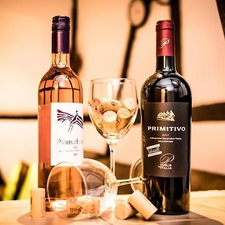 Casa Del Vino *